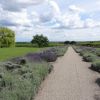 Gartenblick mit Lavendel
