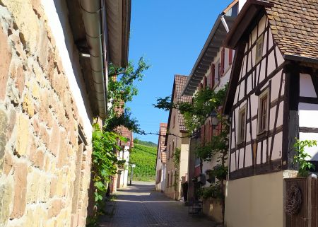 Gasse in Gleiszellen