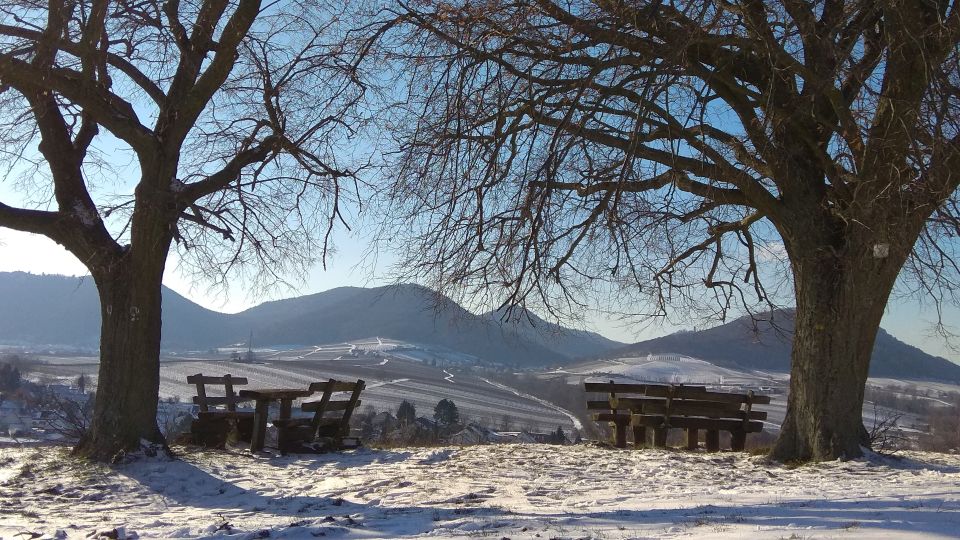 Weinwanderung Winter Pfalz